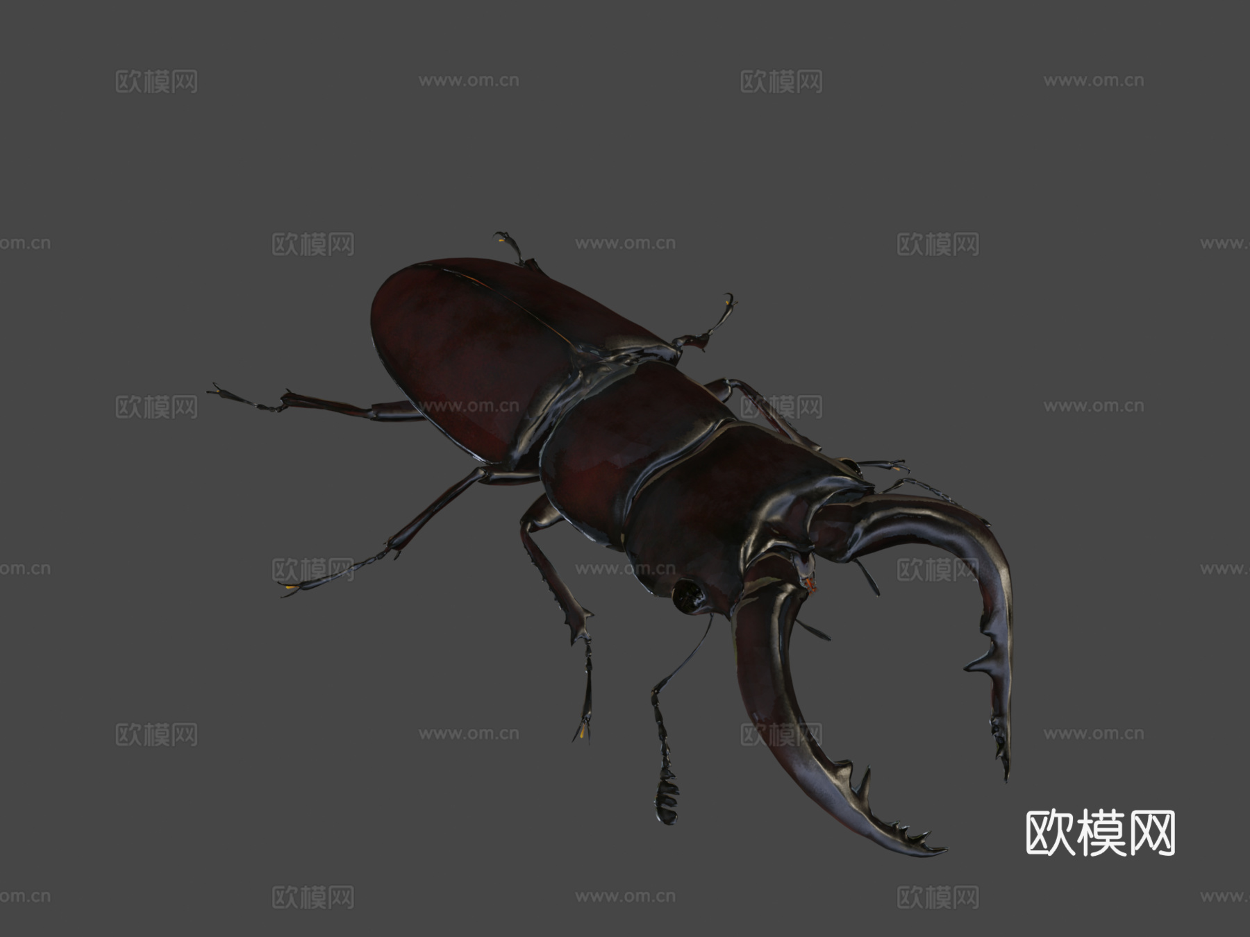 倾斜锹形虫3d模型下载（渲染图7）