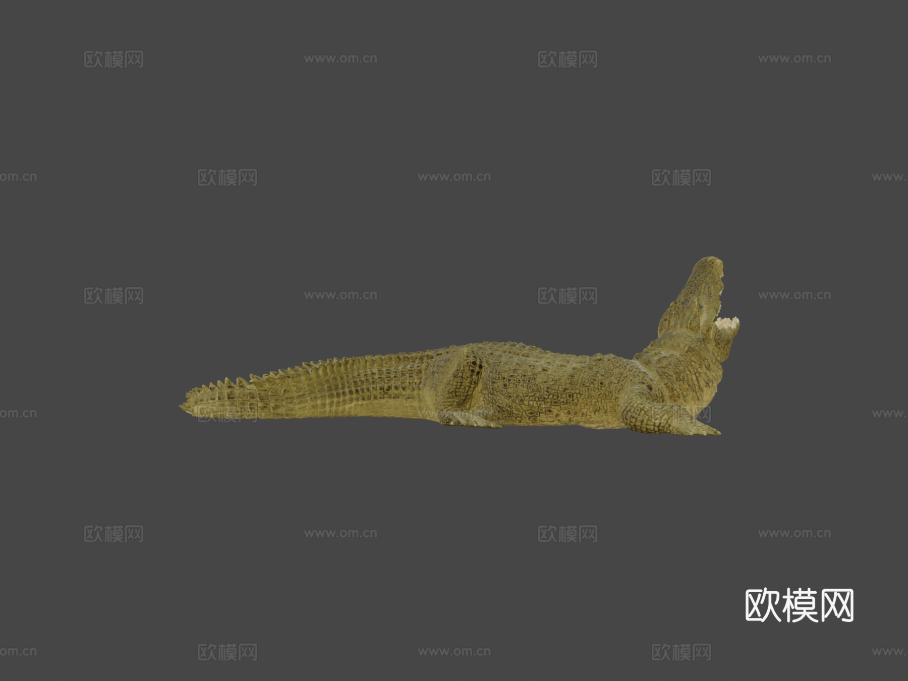 尼罗鳄3d模型下载（渲染图6）