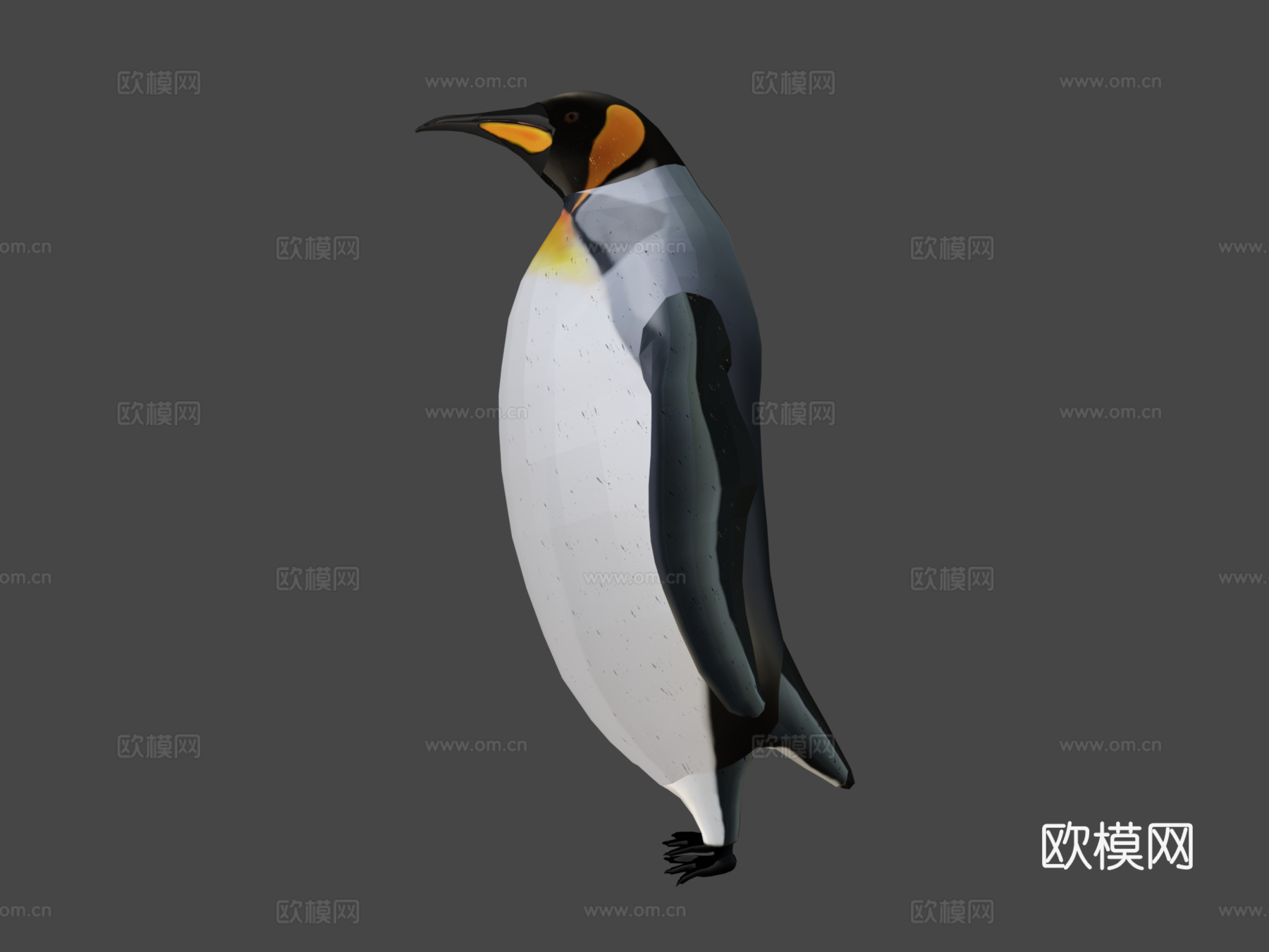 帝企鹅3d模型下载（渲染图7）