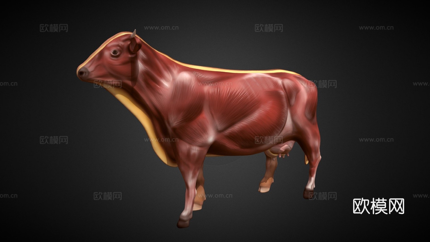 奶牛3d模型下载（渲染图1）