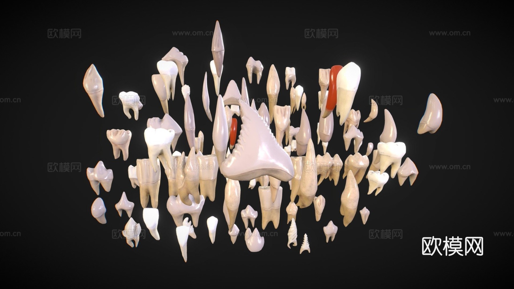 巨齿包3d模型下载（渲染图1）