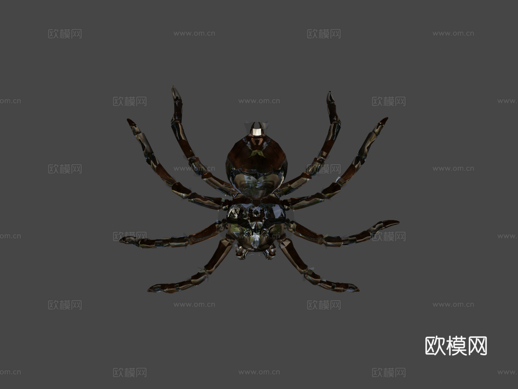 金发捕鸟蛛3d模型下载（渲染图7）
