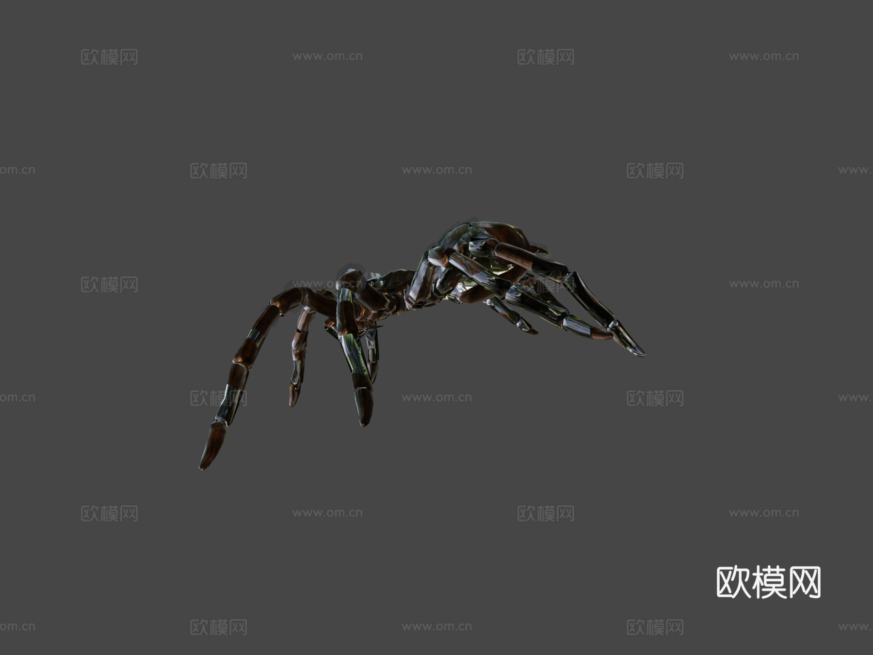 金发捕鸟蛛3d模型下载（渲染图5）