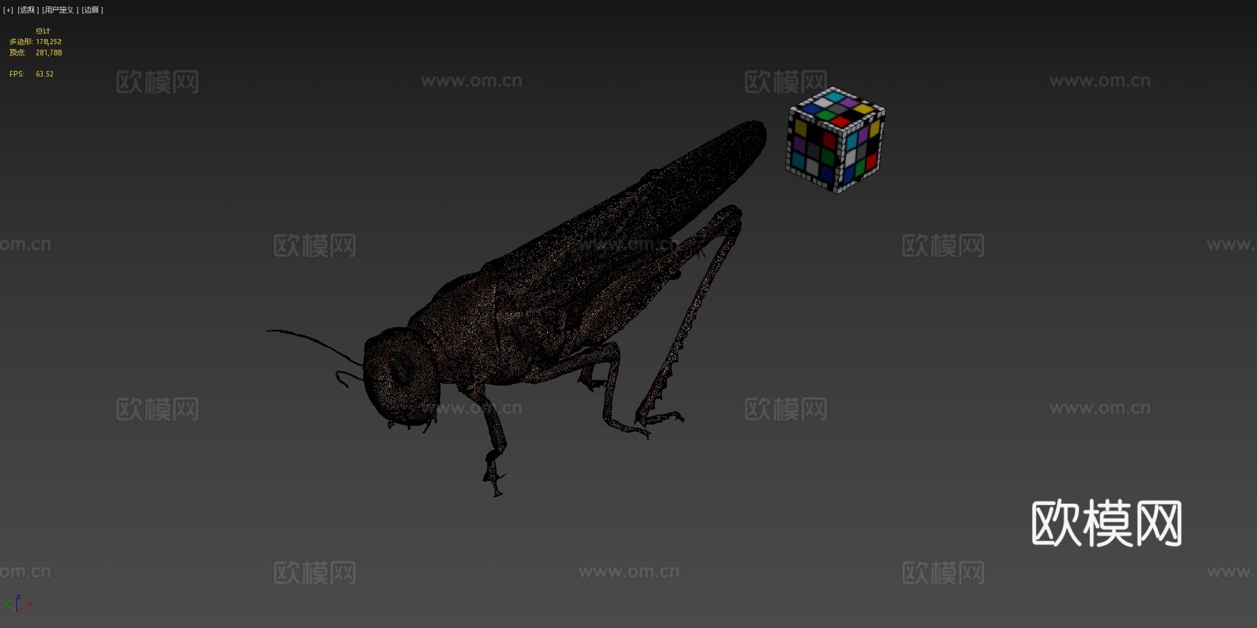 知识共享零 飞蝗   飞蝗飞蝗属3d模型下载（渲染图4）