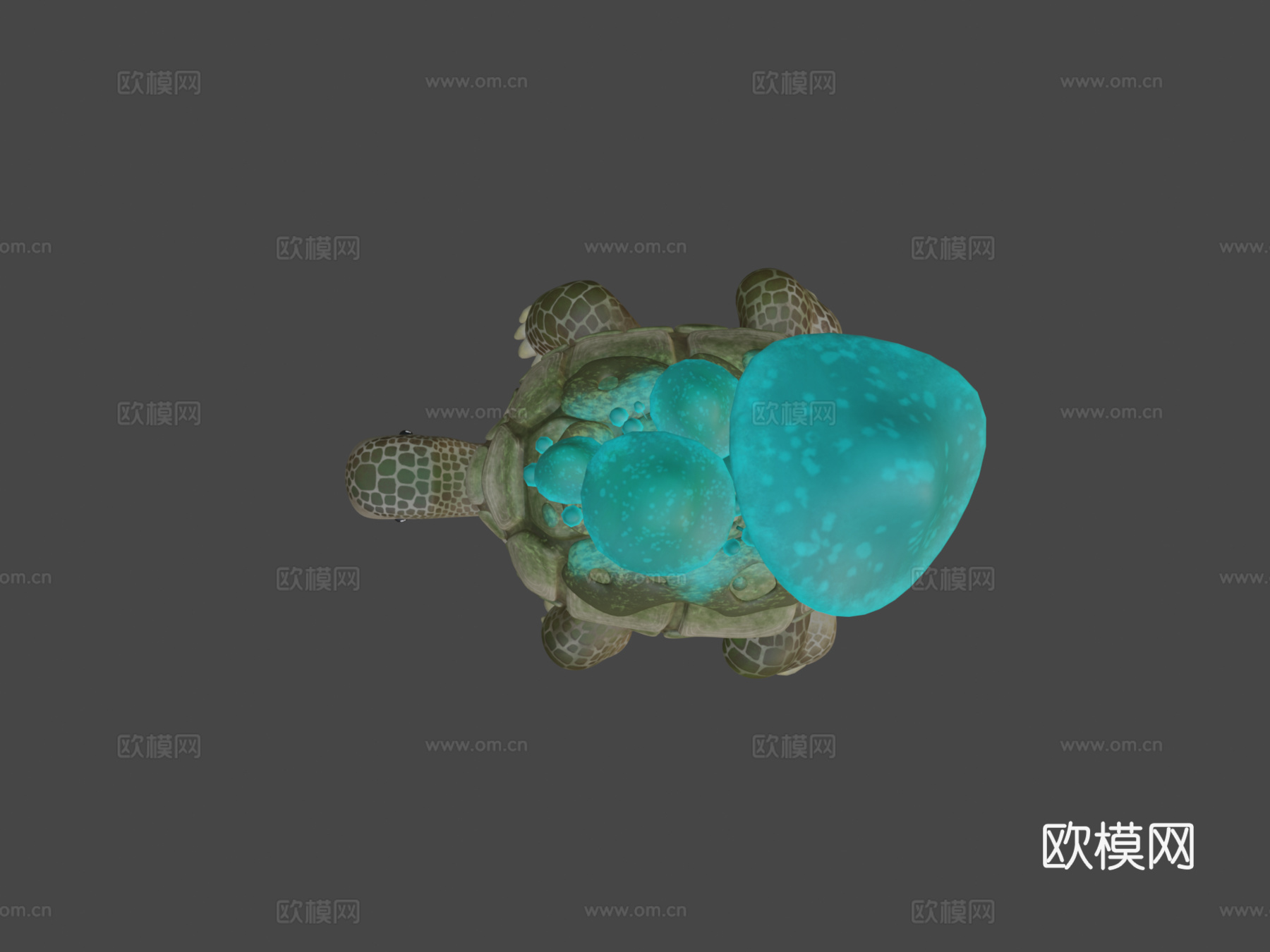 龟蘑菇3d模型下载（渲染图5）