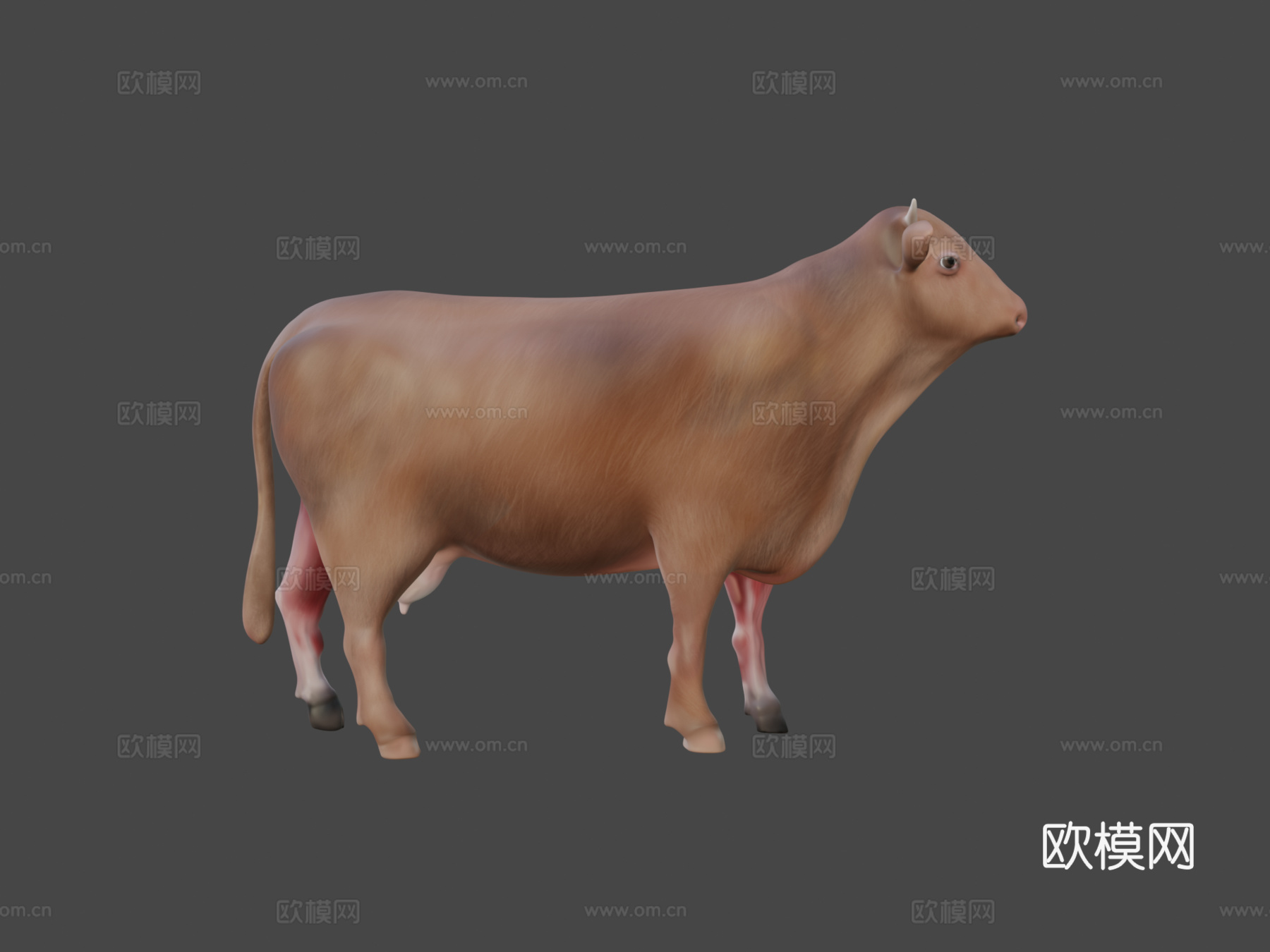 奶牛3d模型下载（渲染图7）