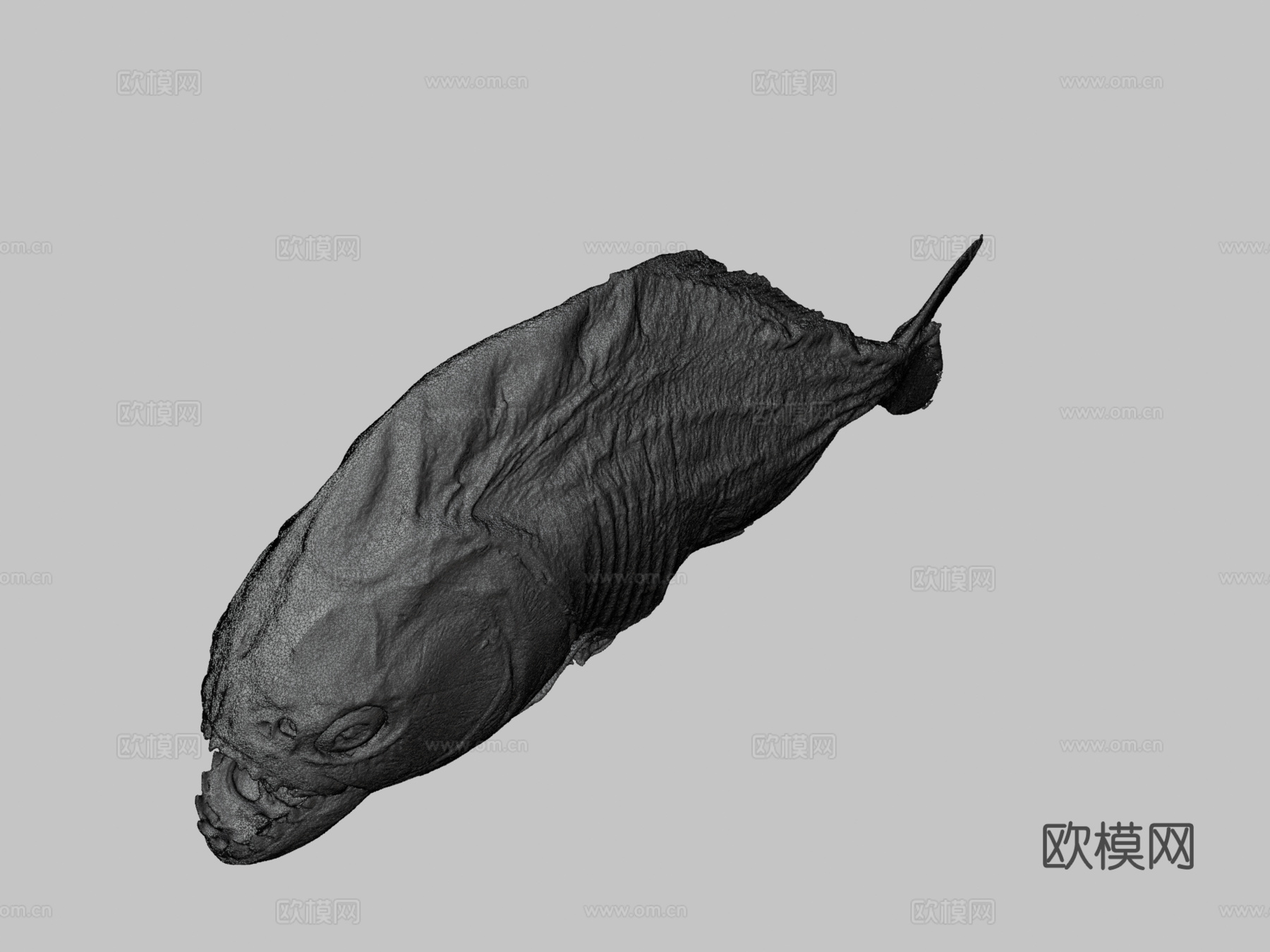 食人鱼3d模型下载（渲染图3）