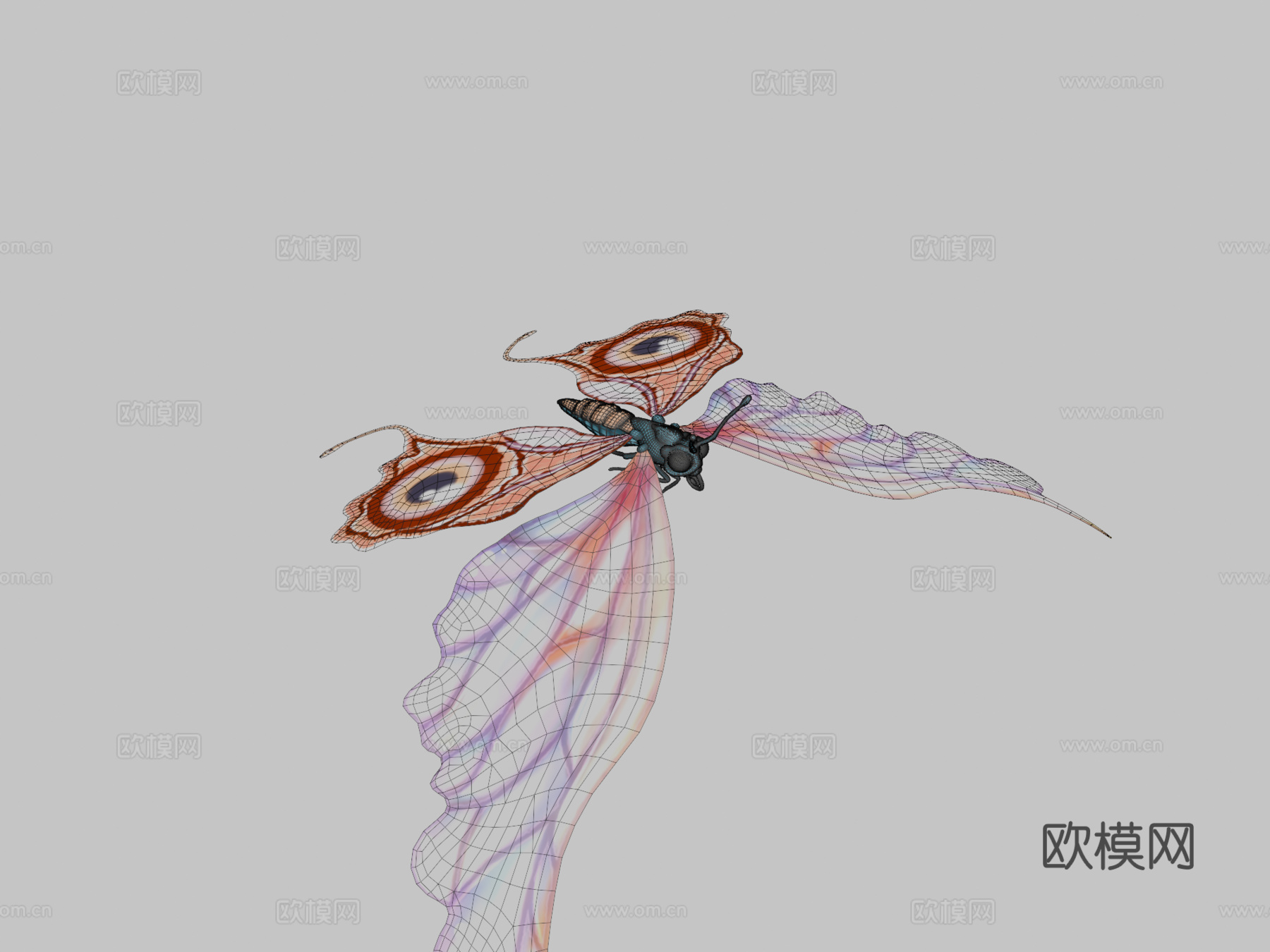 蝴蝶3d模型下载（渲染图2）