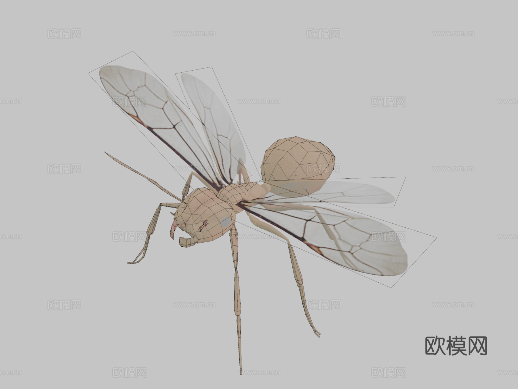 RT  蚂蚁  023d模型下载（渲染图2）