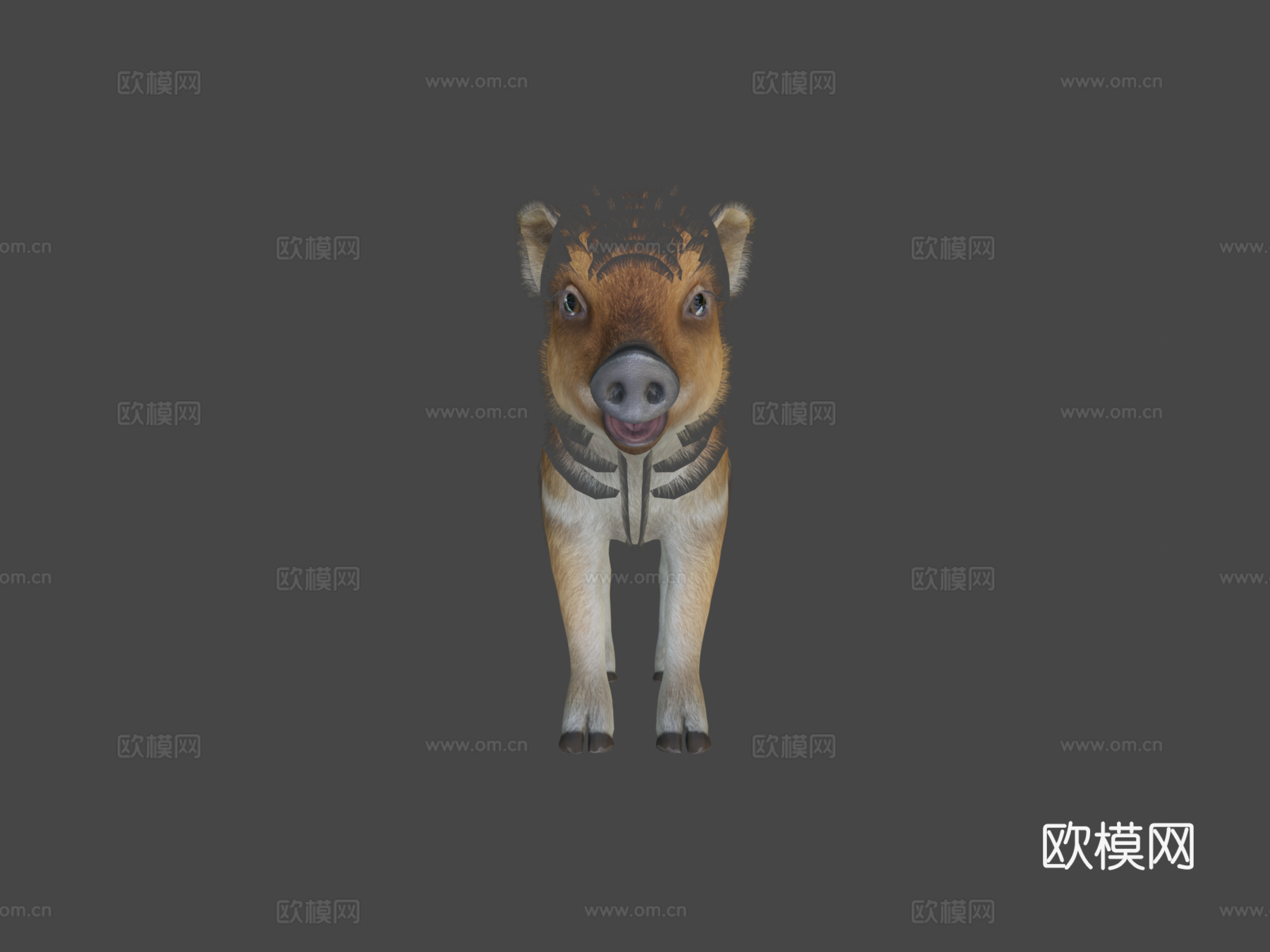野猪幼崽3d模型下载（渲染图6）