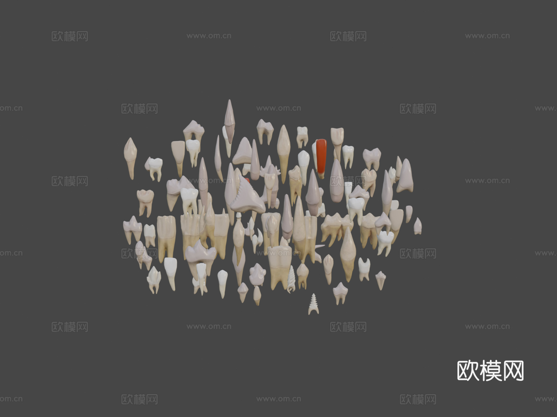 巨齿包3d模型下载（渲染图7）