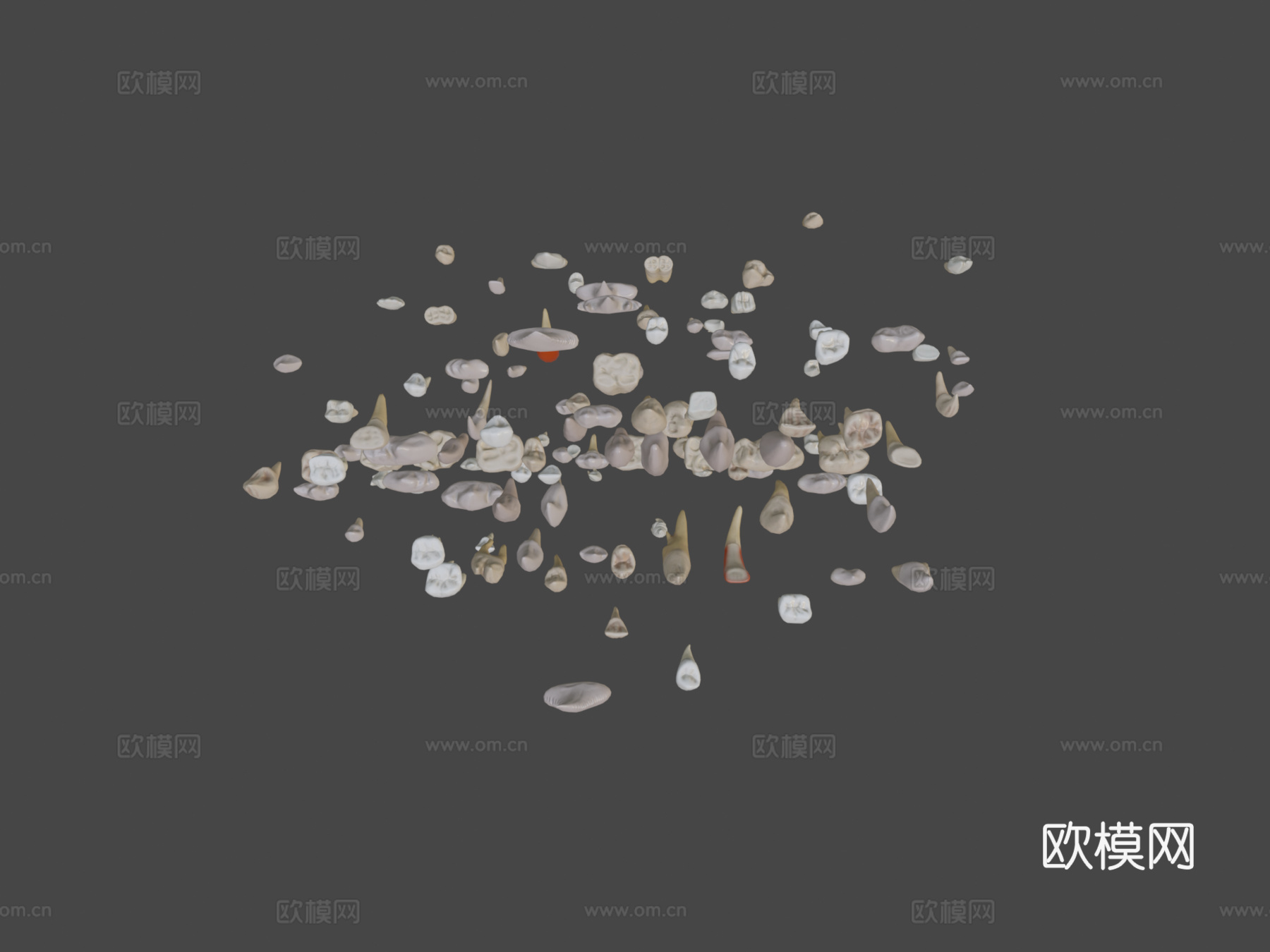 巨齿包3d模型下载（渲染图5）