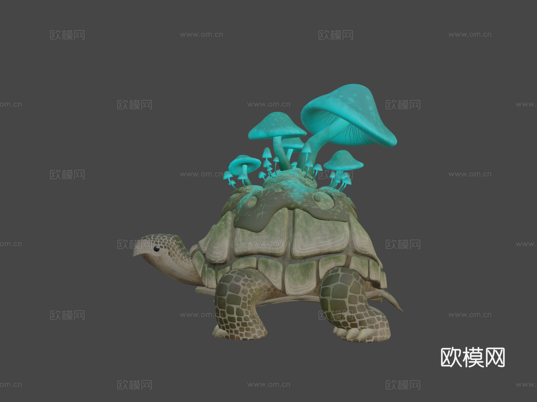 龟蘑菇3d模型下载（渲染图6）