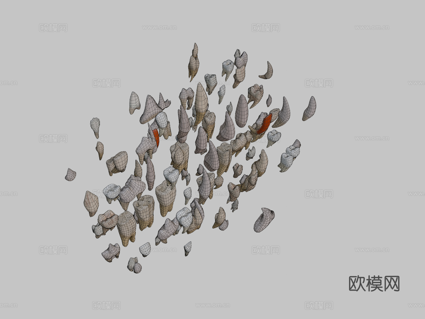 巨齿包3d模型下载（渲染图2）