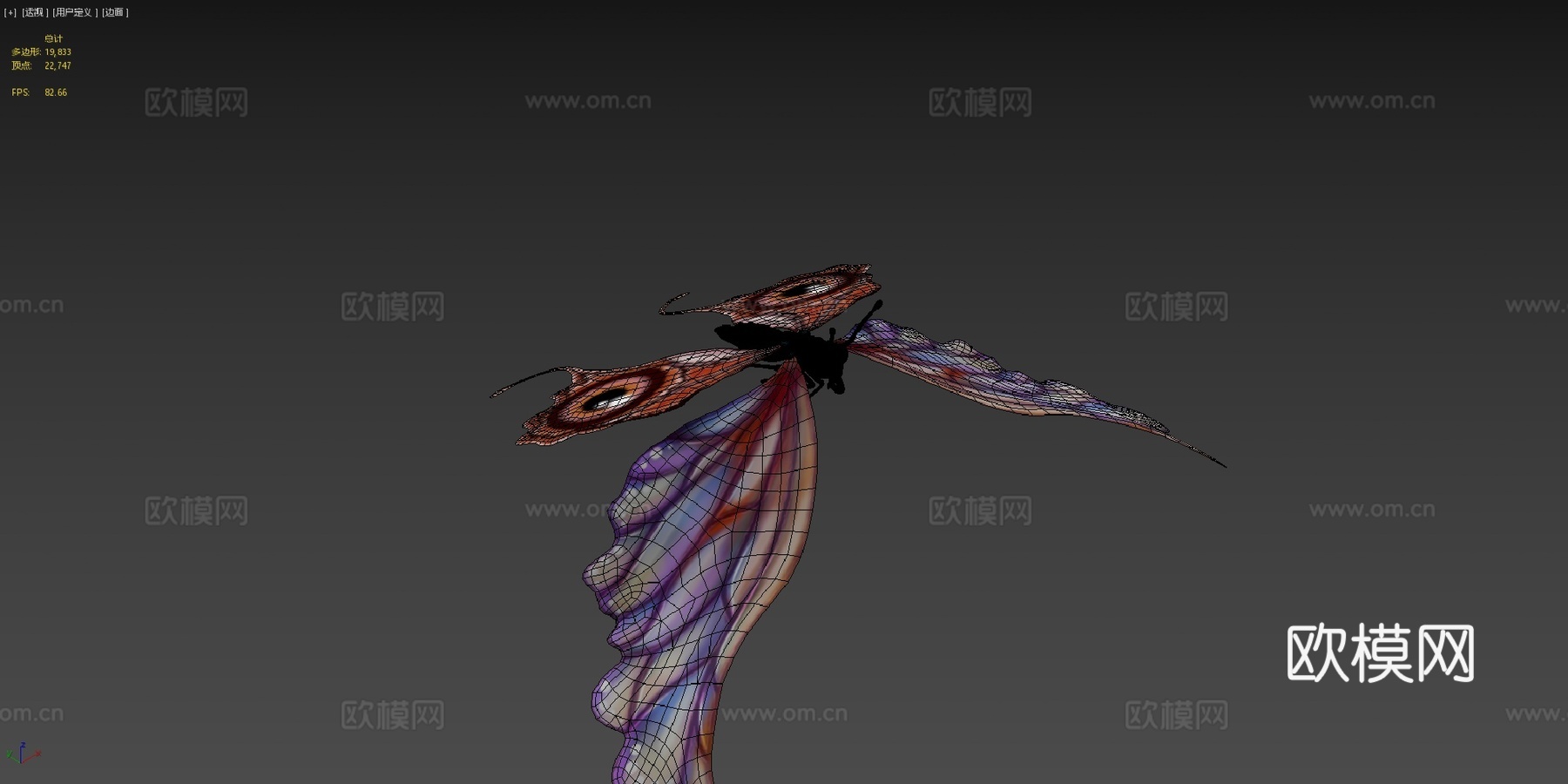 蝴蝶3d模型下载（渲染图4）