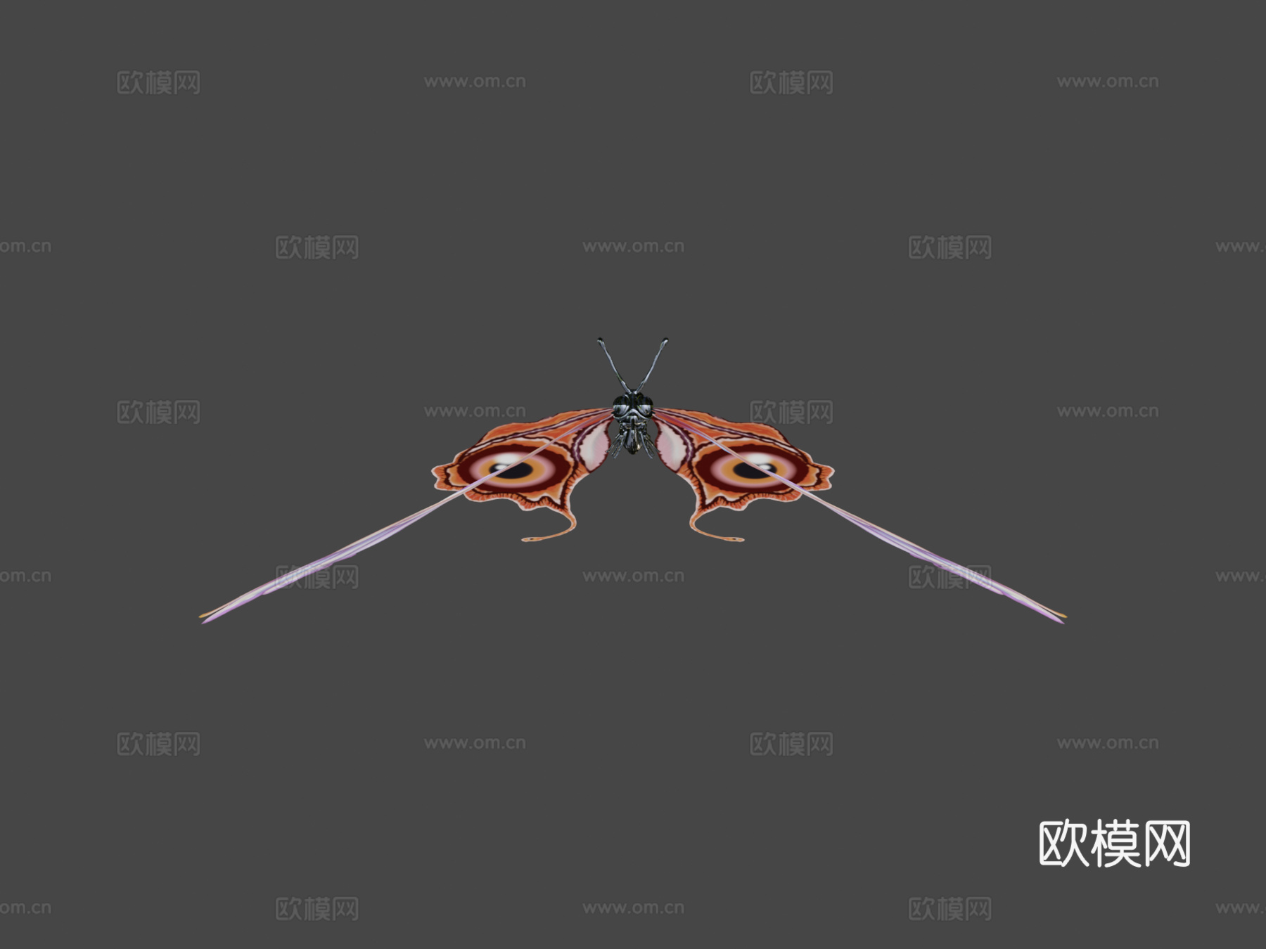 蝴蝶3d模型下载（渲染图5）