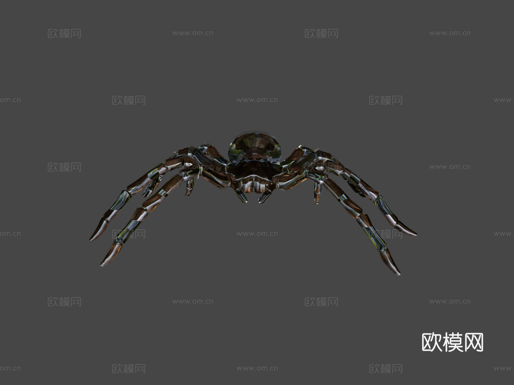 金发捕鸟蛛3d模型下载（渲染图6）