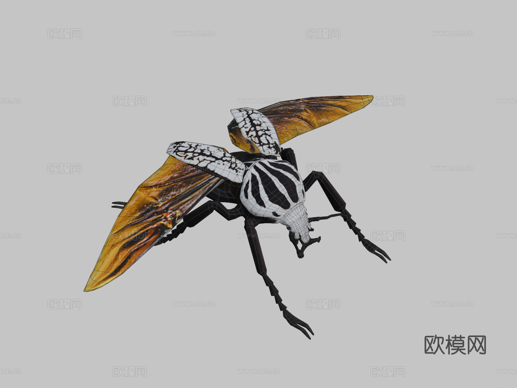 歌利亚甲虫3d模型下载（渲染图2）