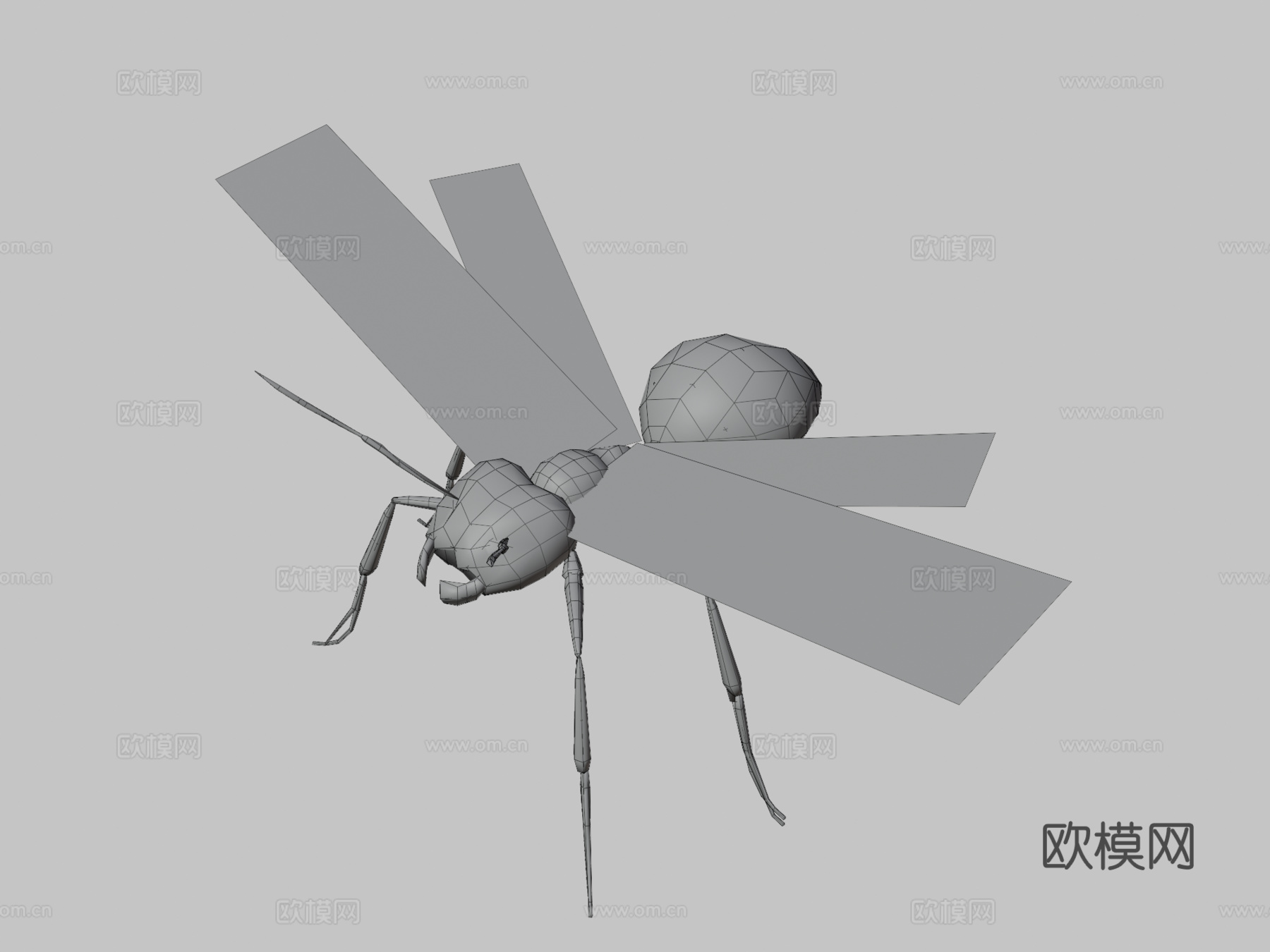 RT  蚂蚁  023d模型下载（渲染图3）