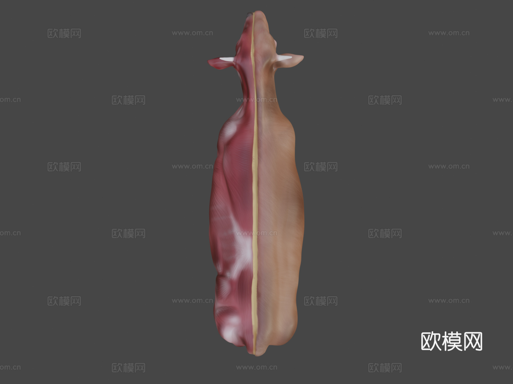 奶牛3d模型下载（渲染图6）