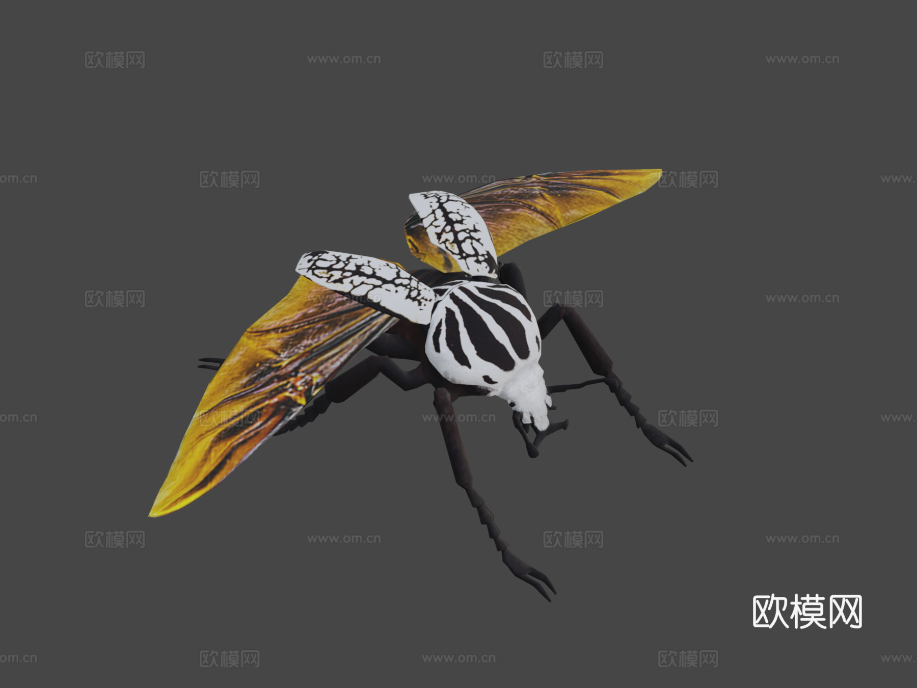 歌利亚甲虫3d模型下载（渲染图8）