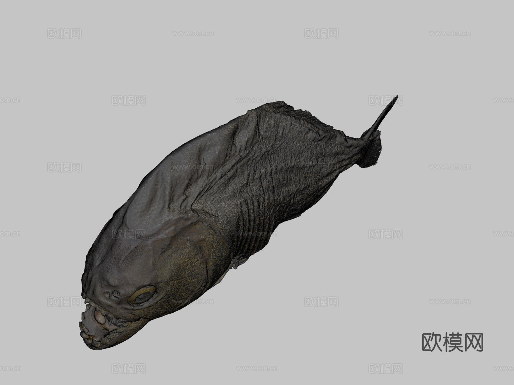 食人鱼3d模型下载（渲染图2）