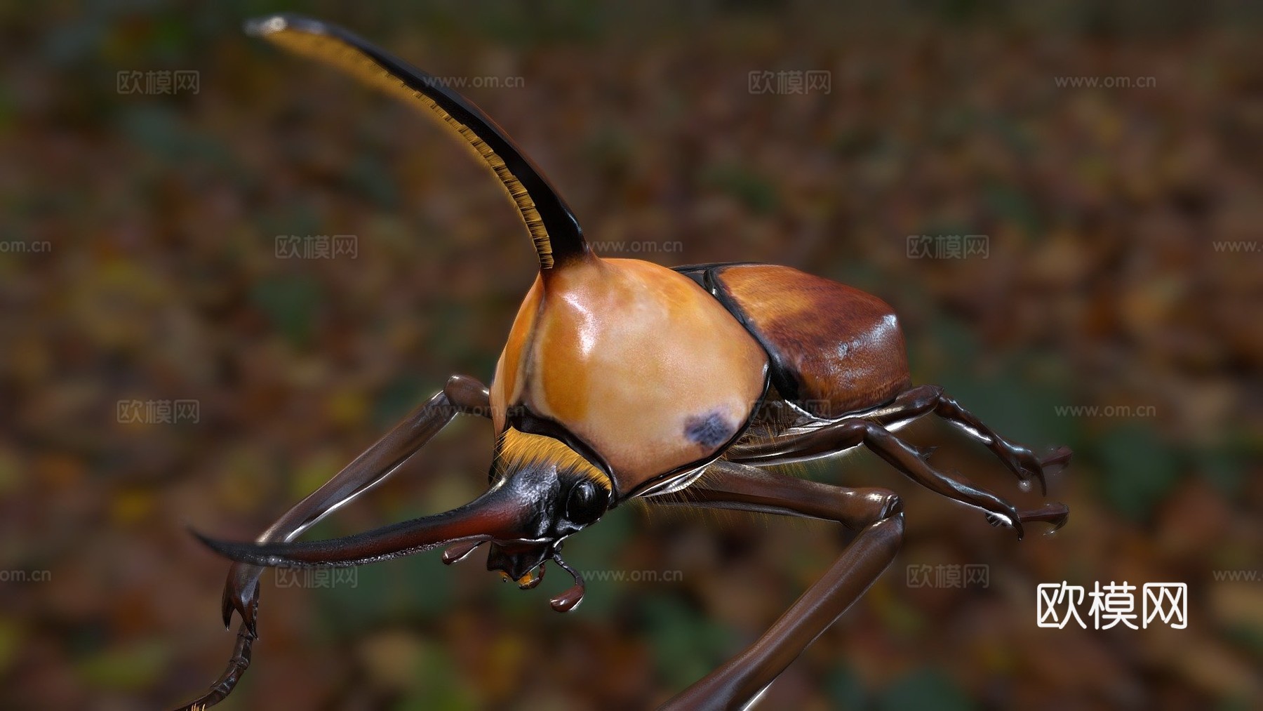 波特金龟3d模型下载（渲染图1）