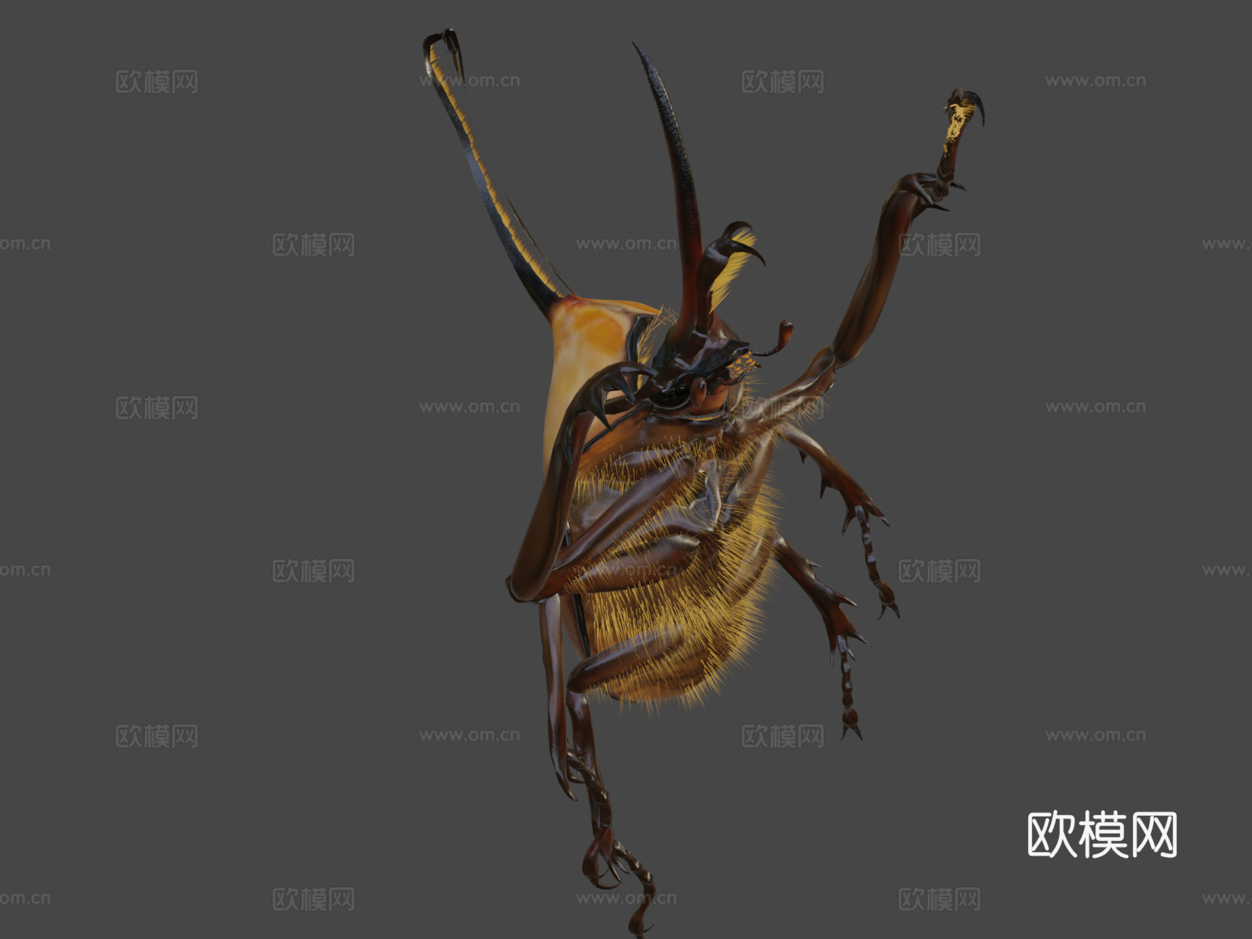 波特金龟3d模型下载（渲染图7）