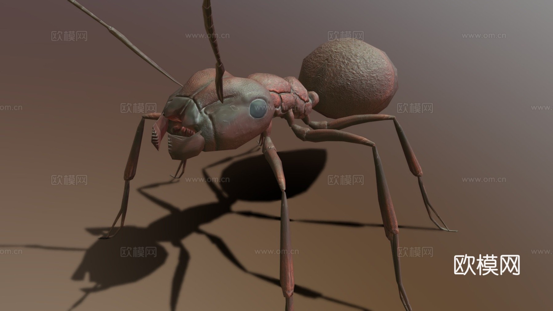 RT  蚂蚁  023d模型下载（渲染图1）