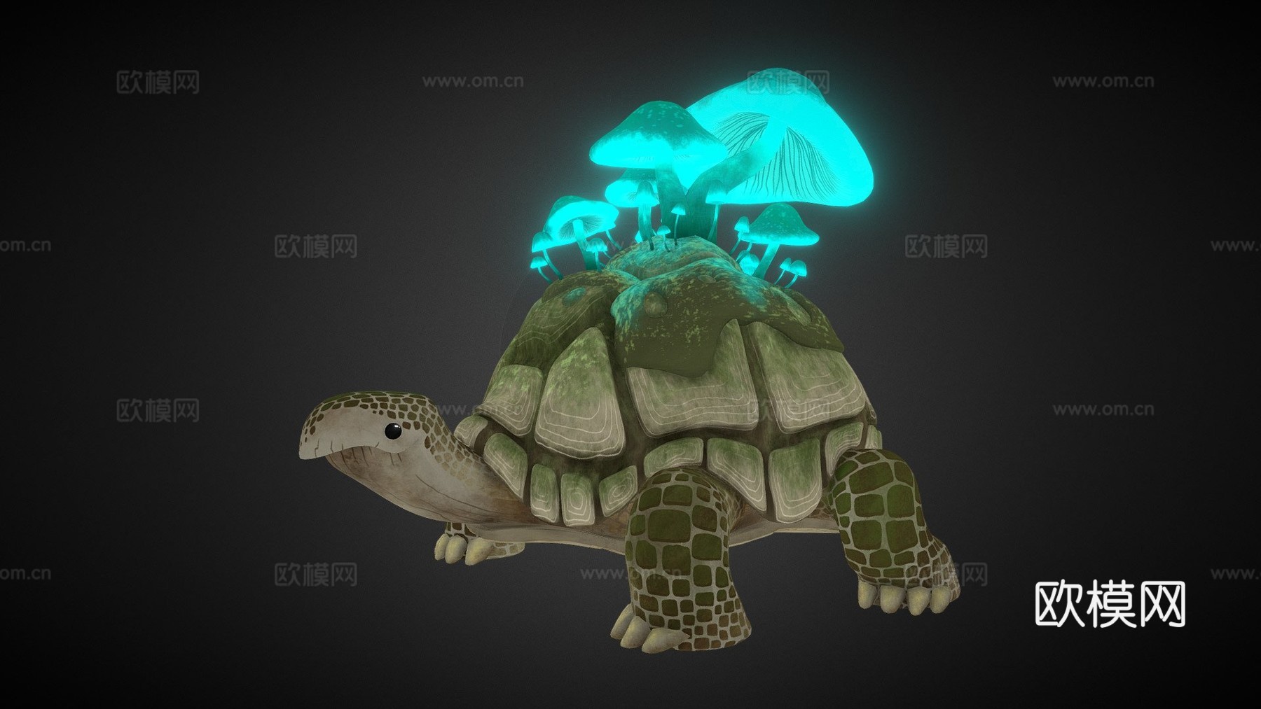 龟蘑菇3d模型下载（渲染图1）