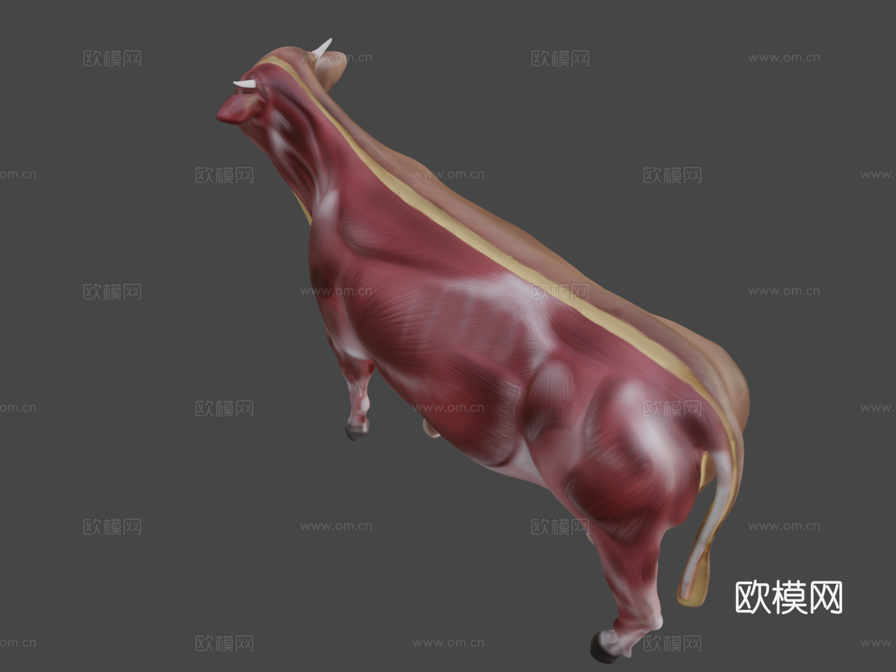 奶牛3d模型下载（渲染图8）