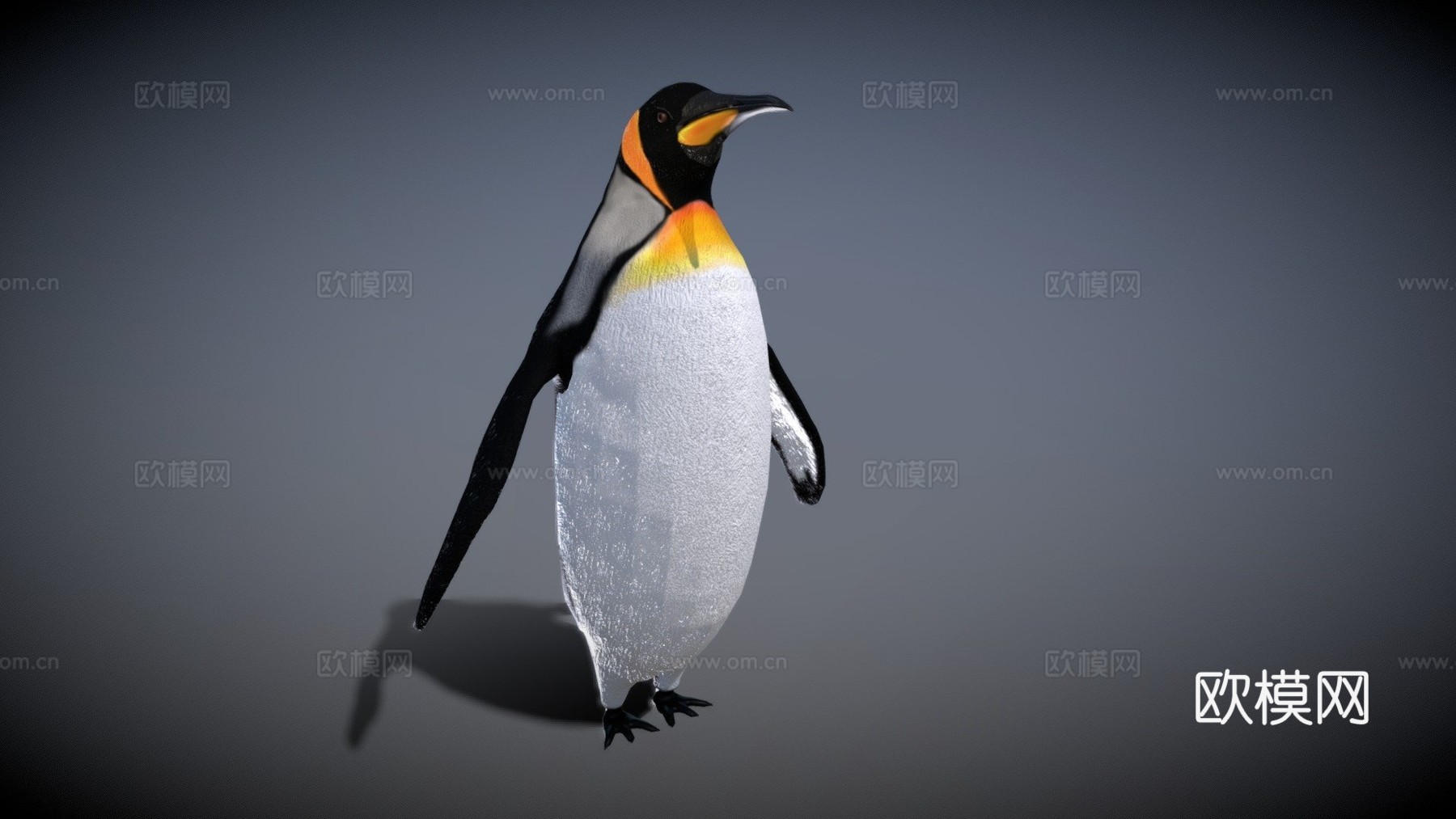 帝企鹅3d模型下载（渲染图1）