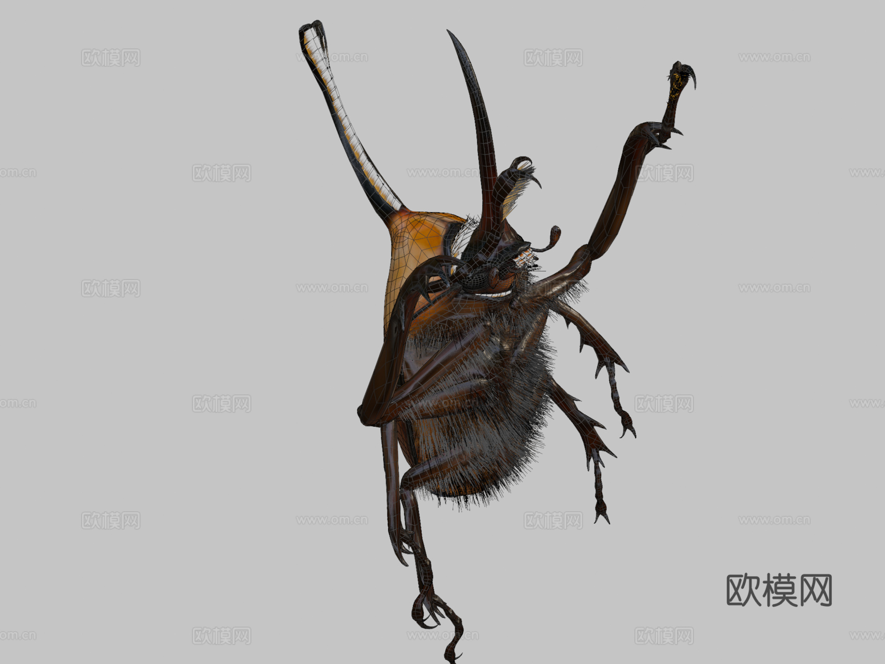 波特金龟3d模型下载（渲染图2）