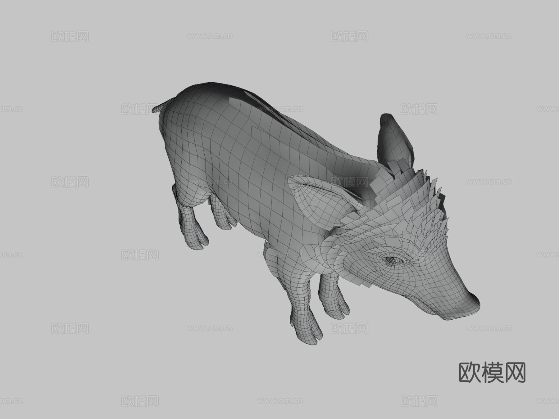 野猪幼崽3d模型下载（渲染图3）