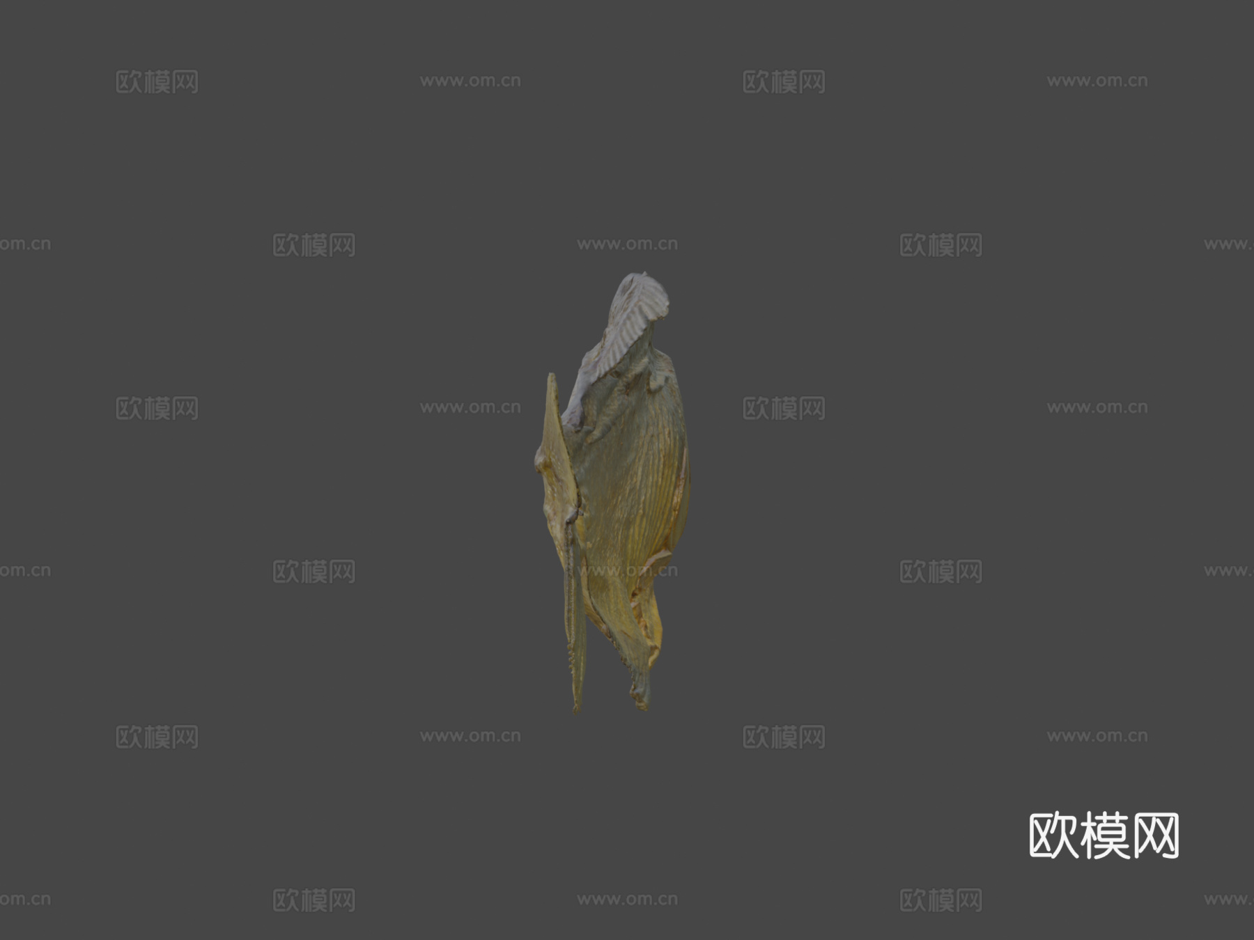 食人鱼3d模型下载（渲染图5）