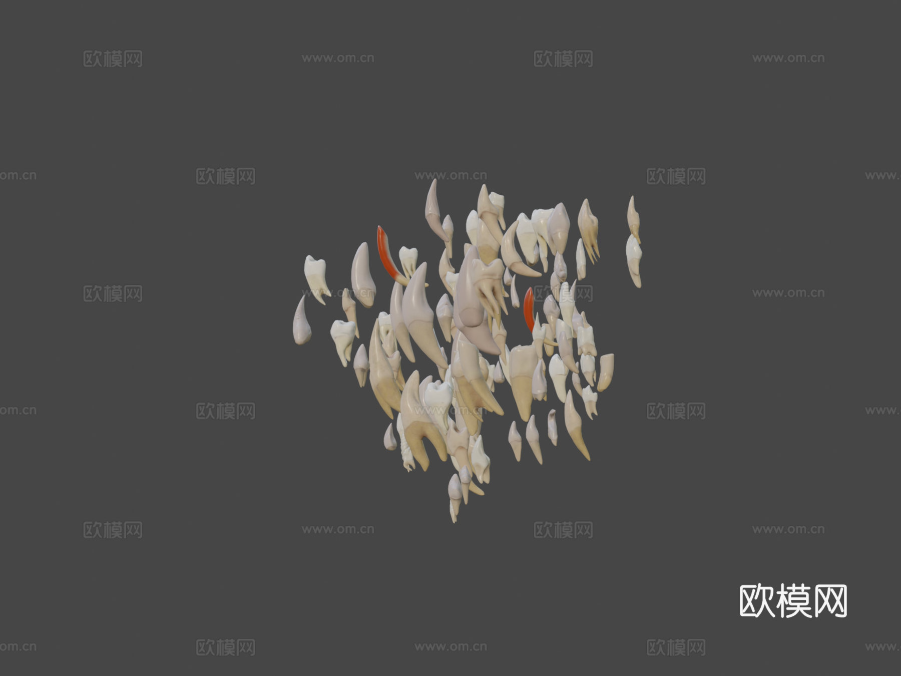 巨齿包3d模型下载（渲染图6）