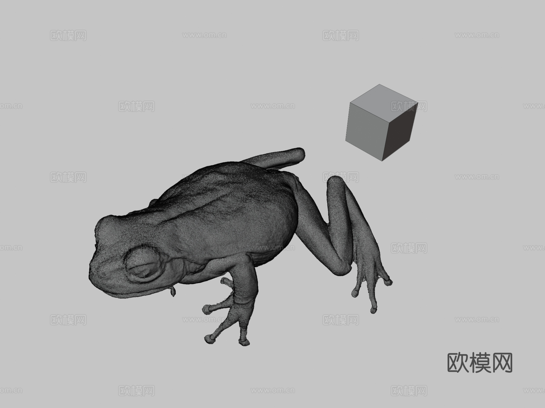 知识共享零 日本雨蛙  日本树蛙日本树蛙属3d模型下载（渲染图3）