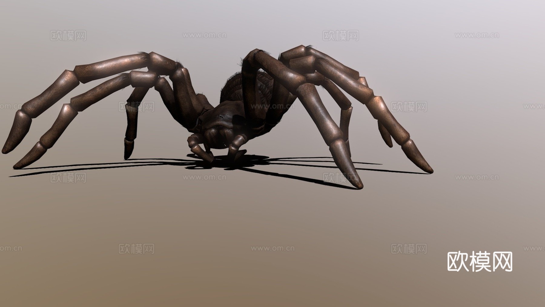 金发捕鸟蛛3d模型下载（渲染图1）
