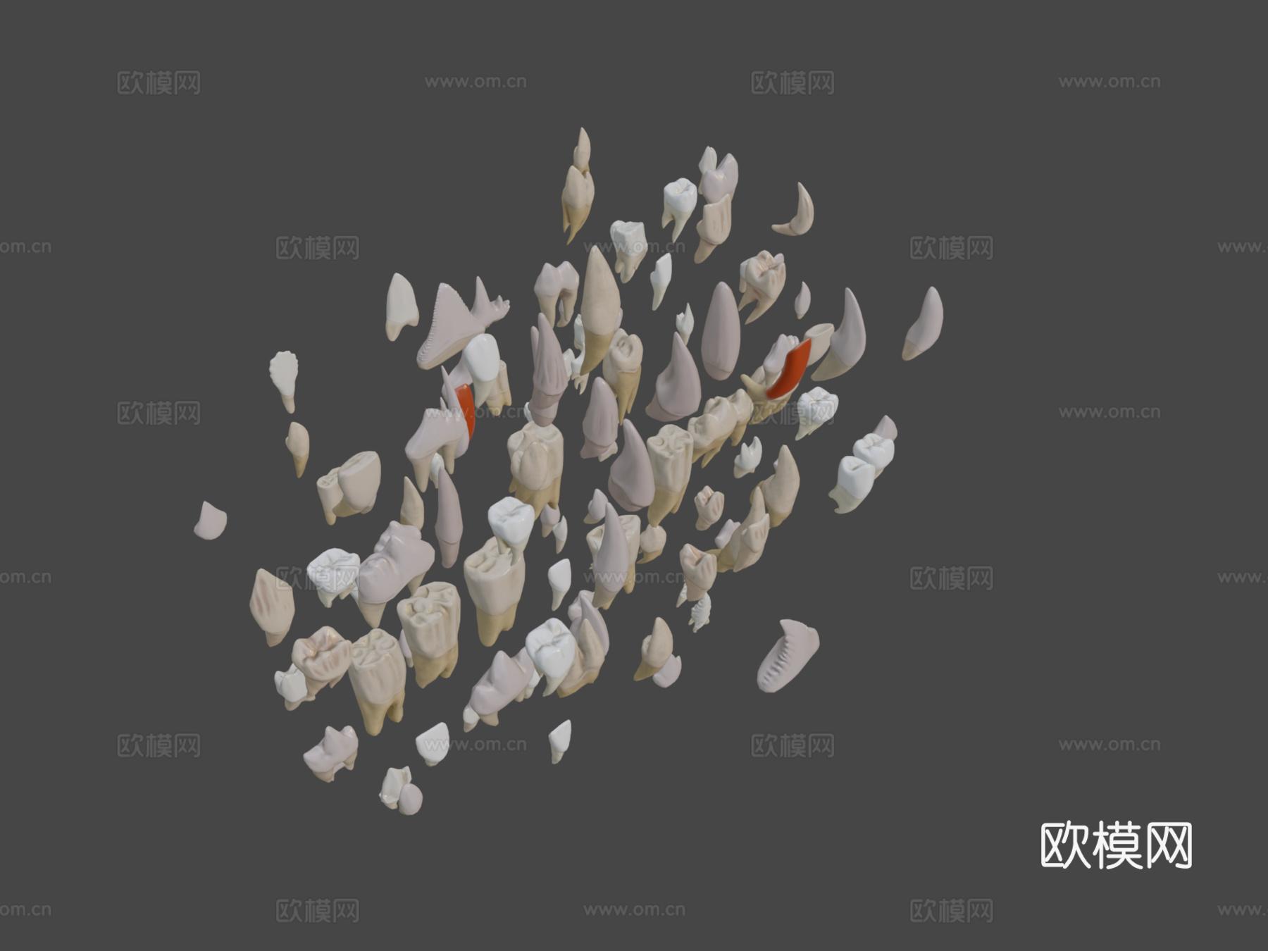 巨齿包3d模型下载（渲染图8）