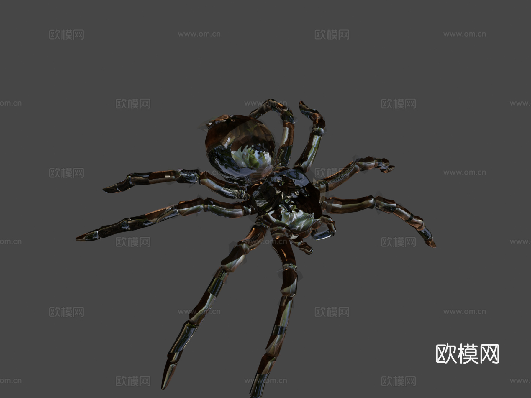 金发捕鸟蛛3d模型下载（渲染图8）
