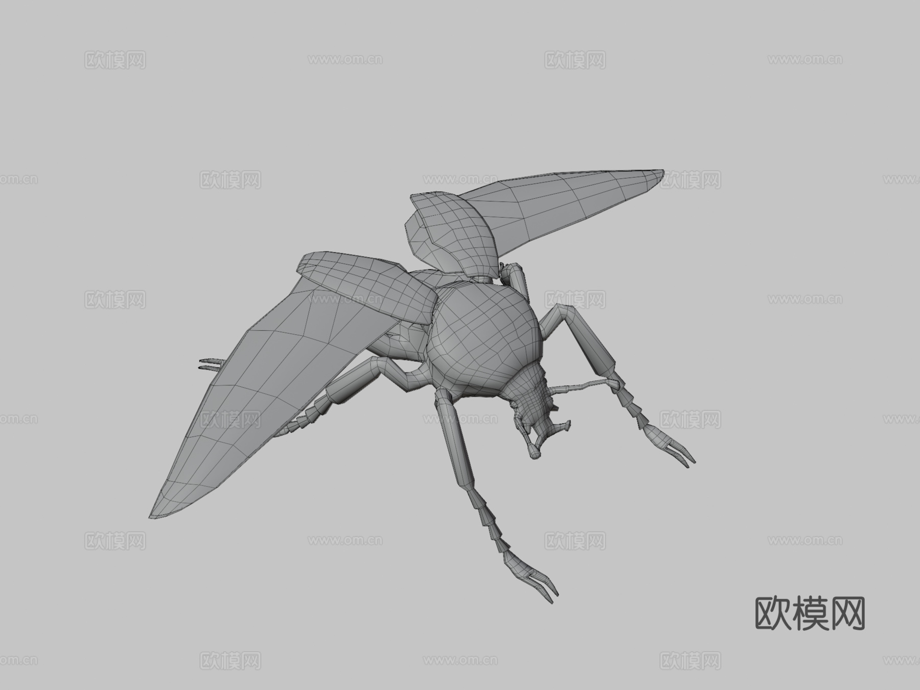 歌利亚甲虫3d模型下载（渲染图3）