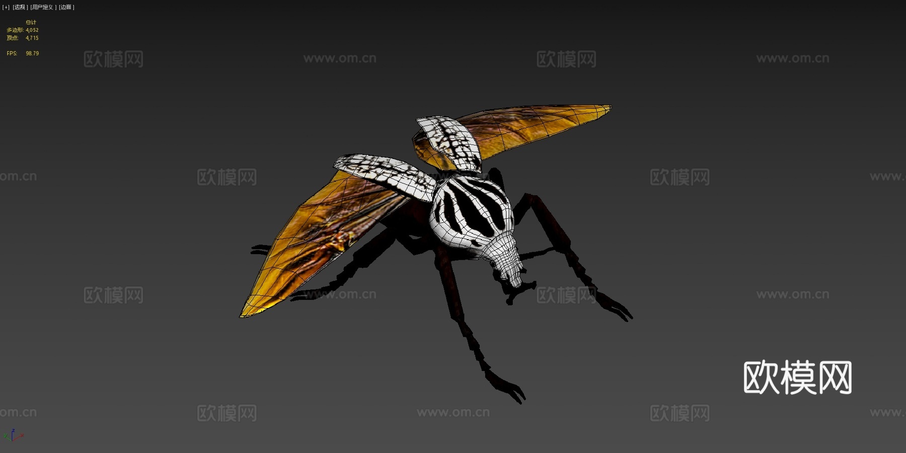 歌利亚甲虫3d模型下载（渲染图4）