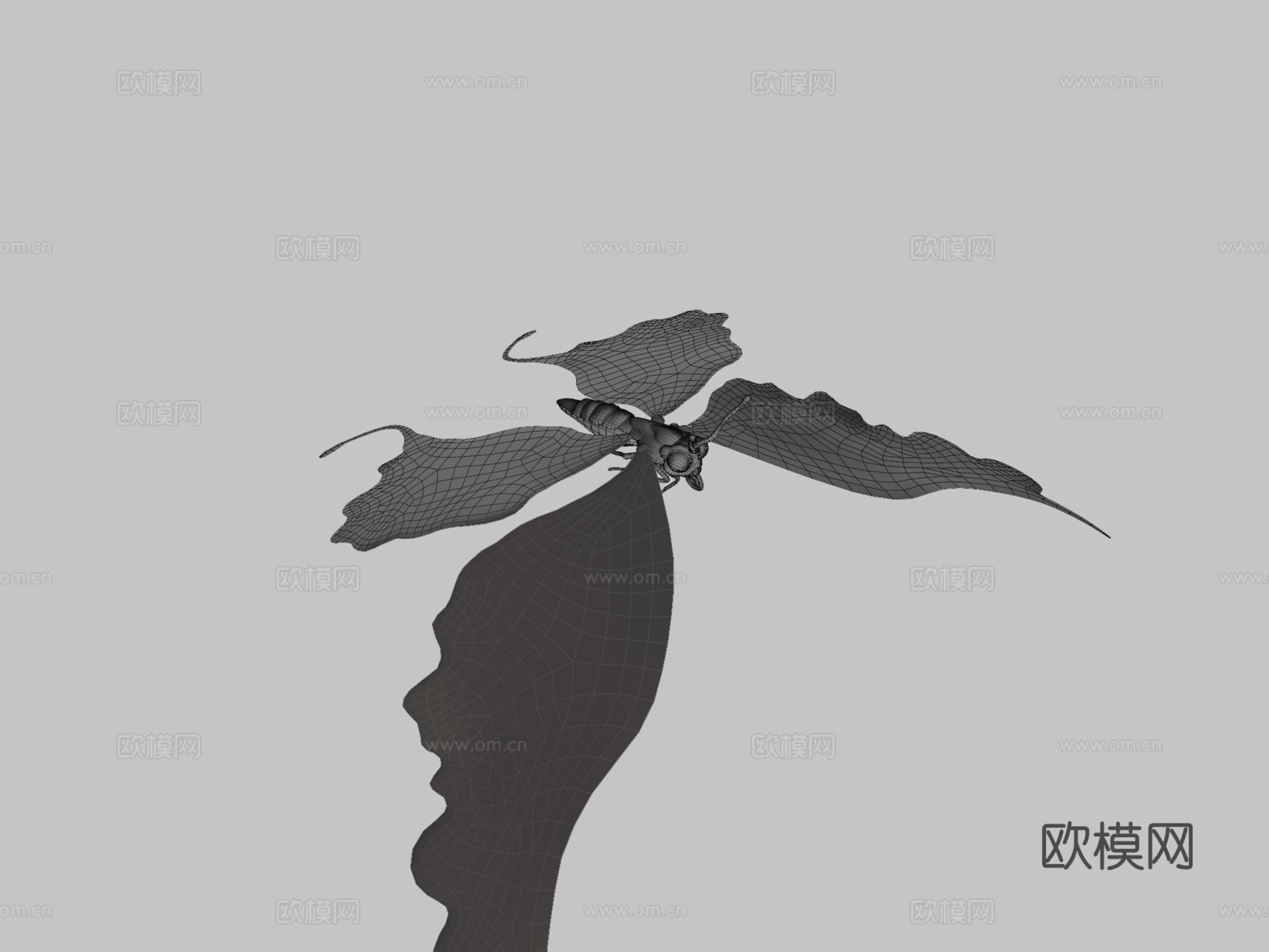 蝴蝶3d模型下载（渲染图3）