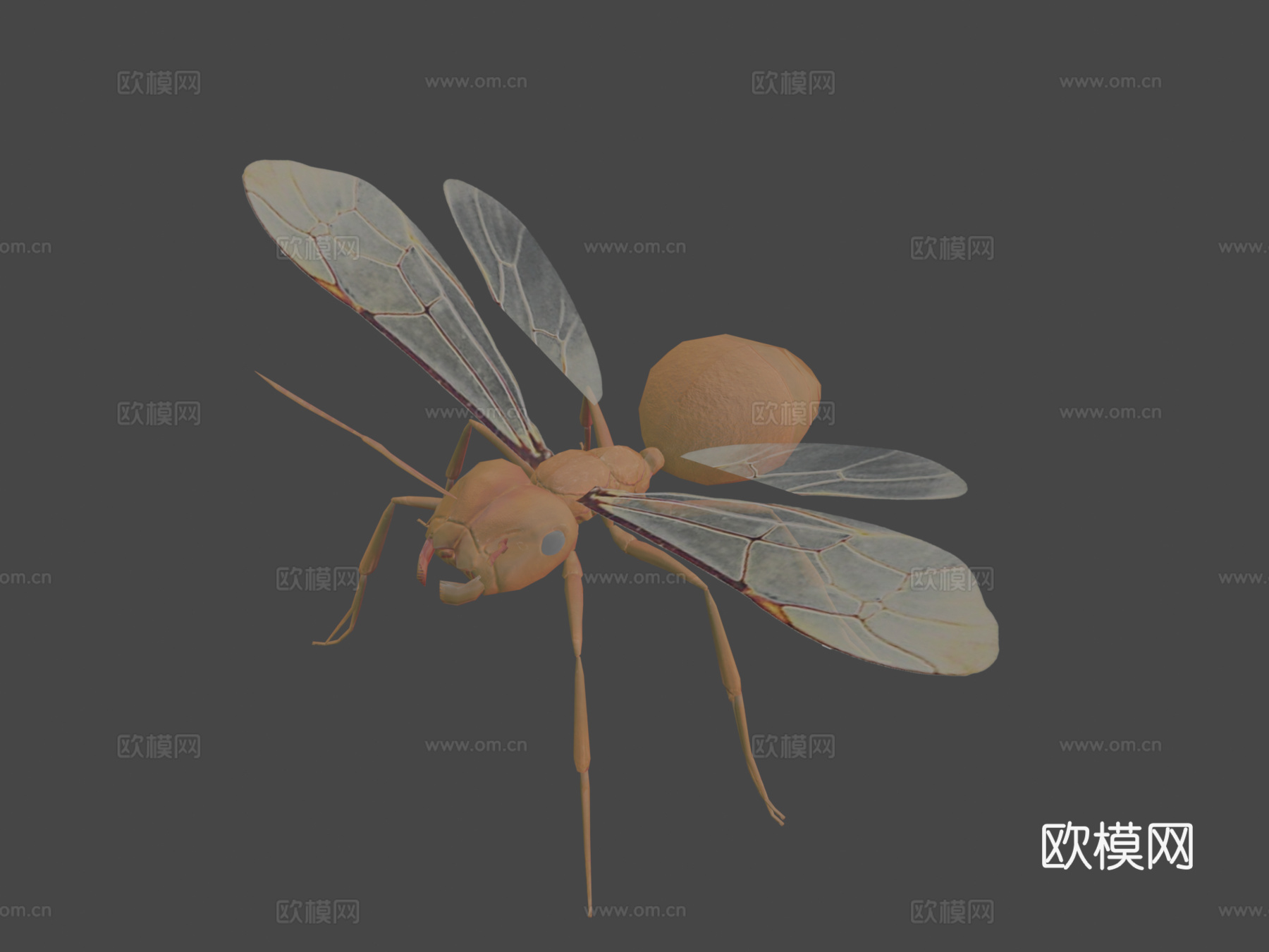 RT  蚂蚁  023d模型下载（渲染图7）