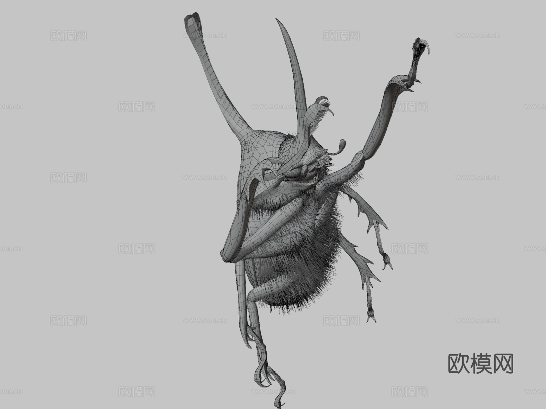 波特金龟3d模型下载（渲染图3）