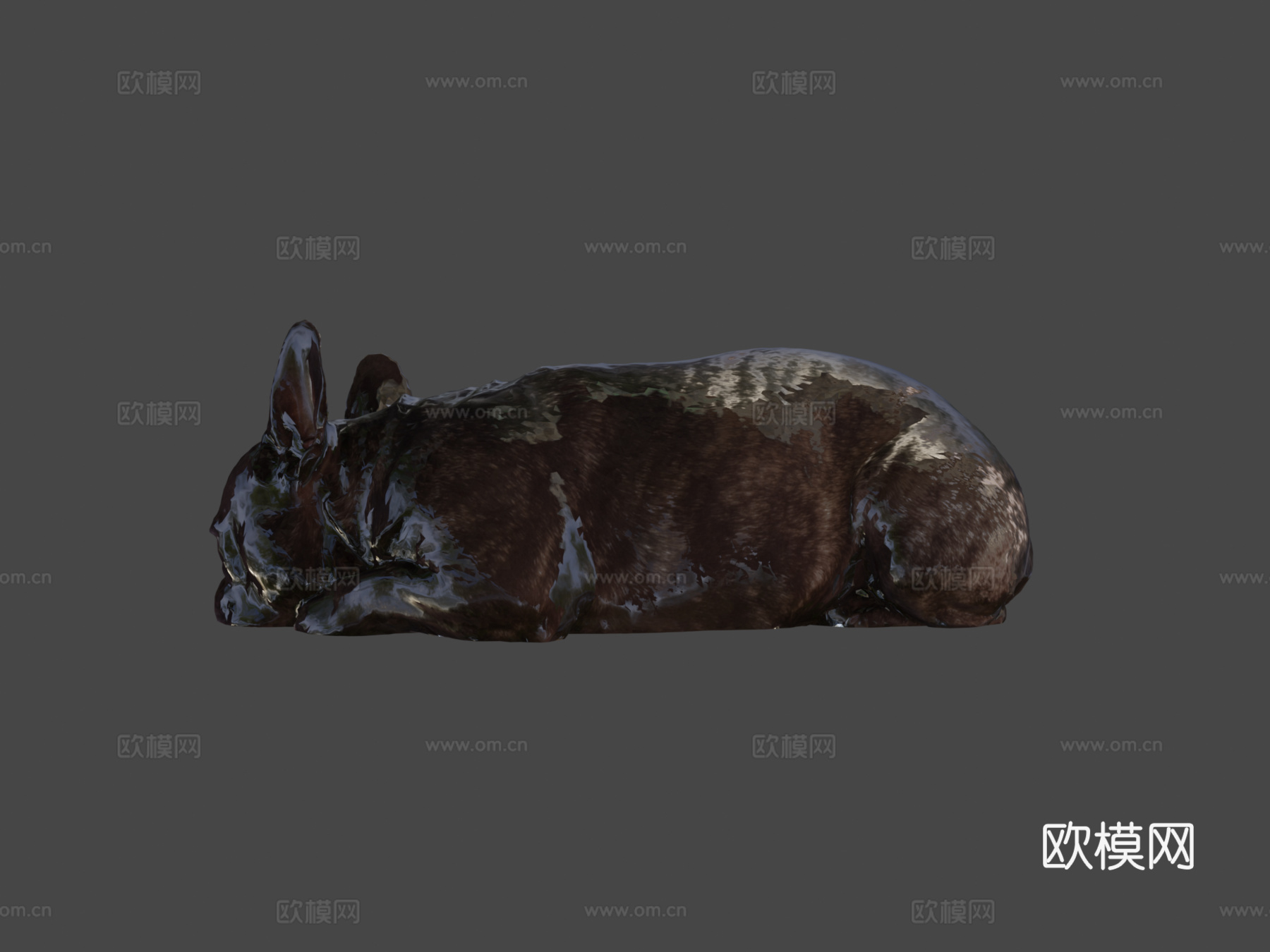 狗 B  13之13  斗牛犬3d模型下载（渲染图6）