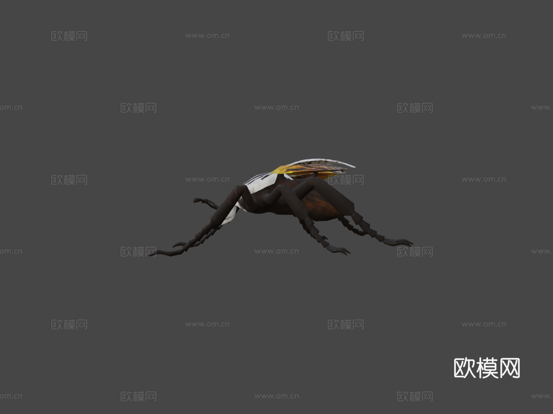 歌利亚甲虫3d模型下载（渲染图5）