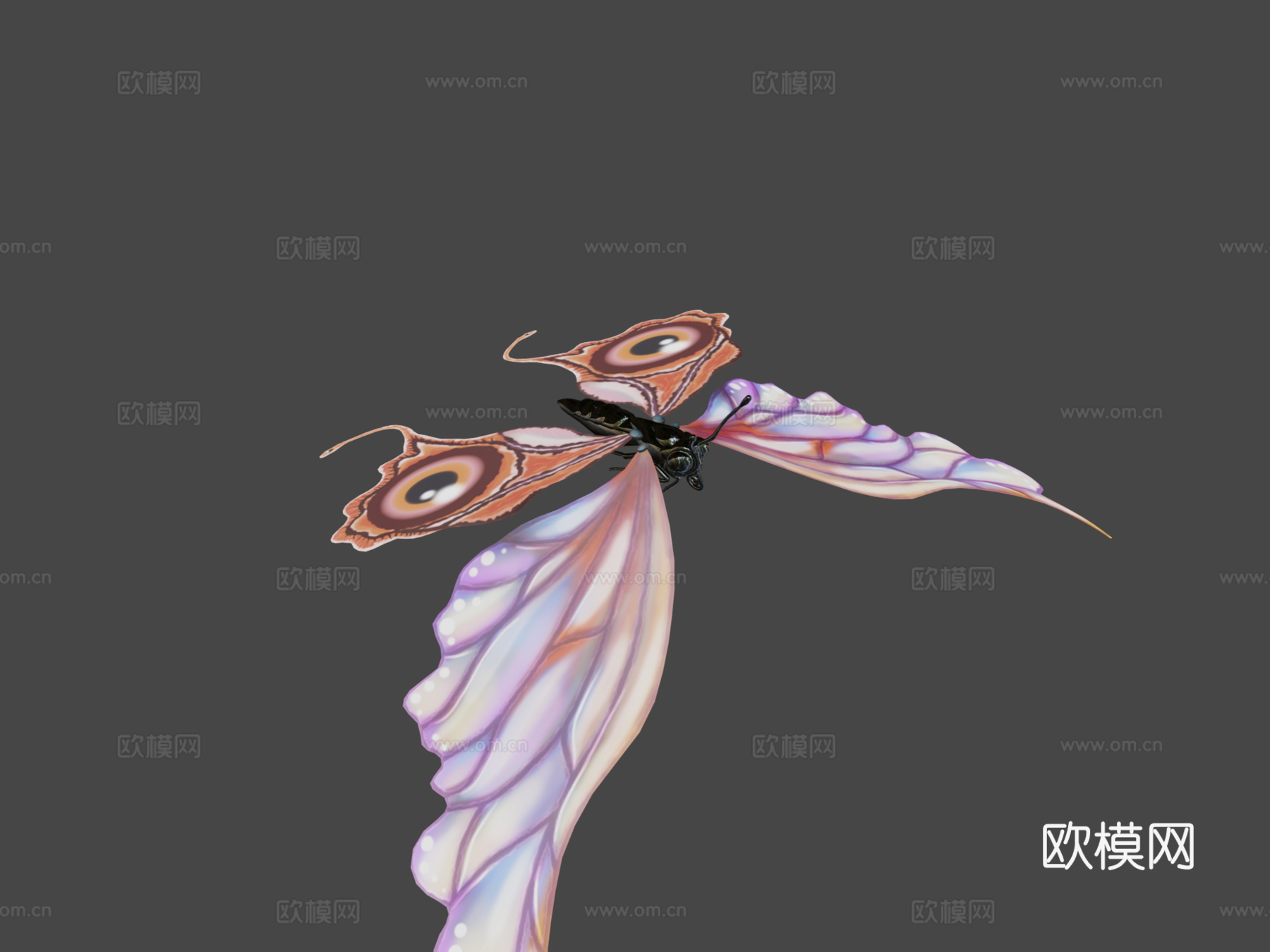 蝴蝶3d模型下载（渲染图7）