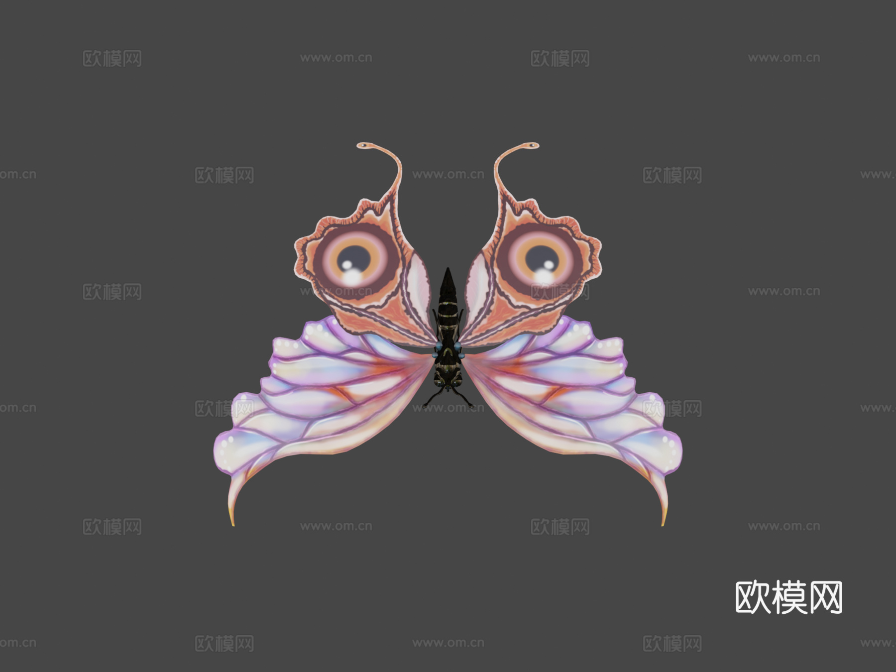 蝴蝶3d模型下载（渲染图8）