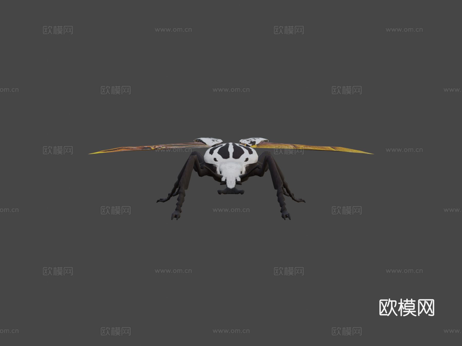 歌利亚甲虫3d模型下载（渲染图6）